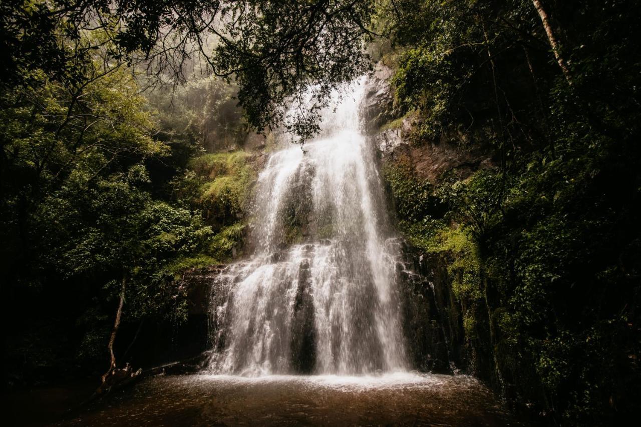 Mount Sheba Rainforest Hotel & Resort Pilgrimʼs Rest Eksteriør billede
