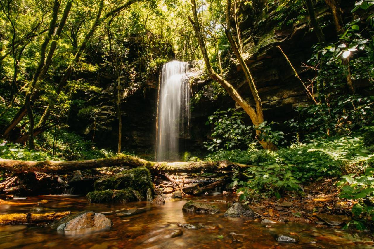 Mount Sheba Rainforest Hotel & Resort Pilgrimʼs Rest Eksteriør billede